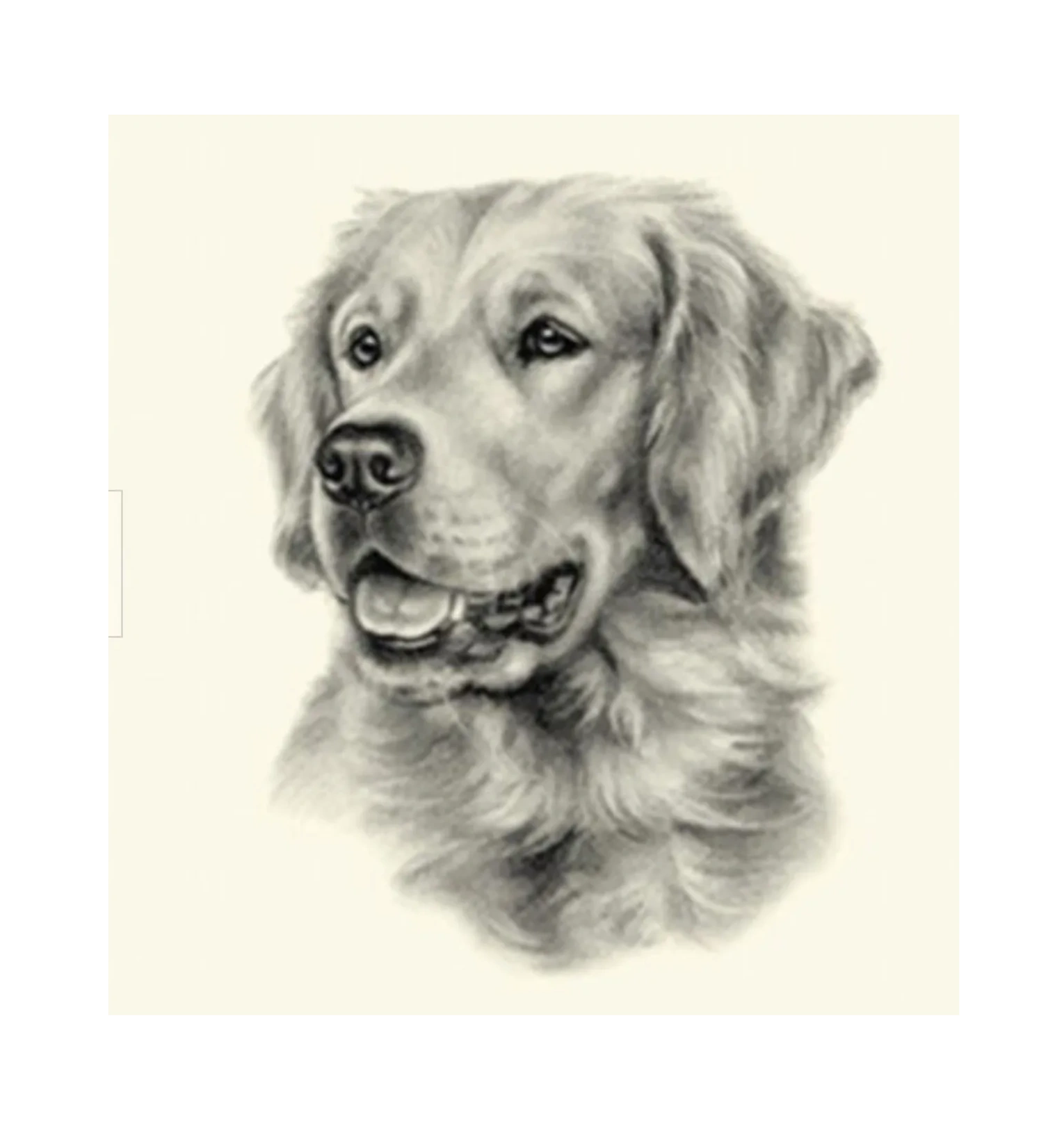 Reviewer dog photo 2